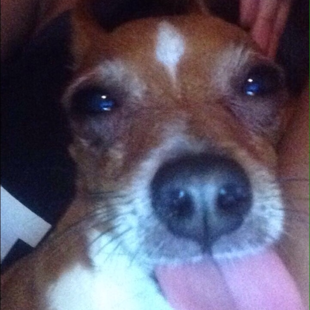 Meet your Posher, Cami