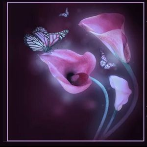 Meet your Posher, Sue