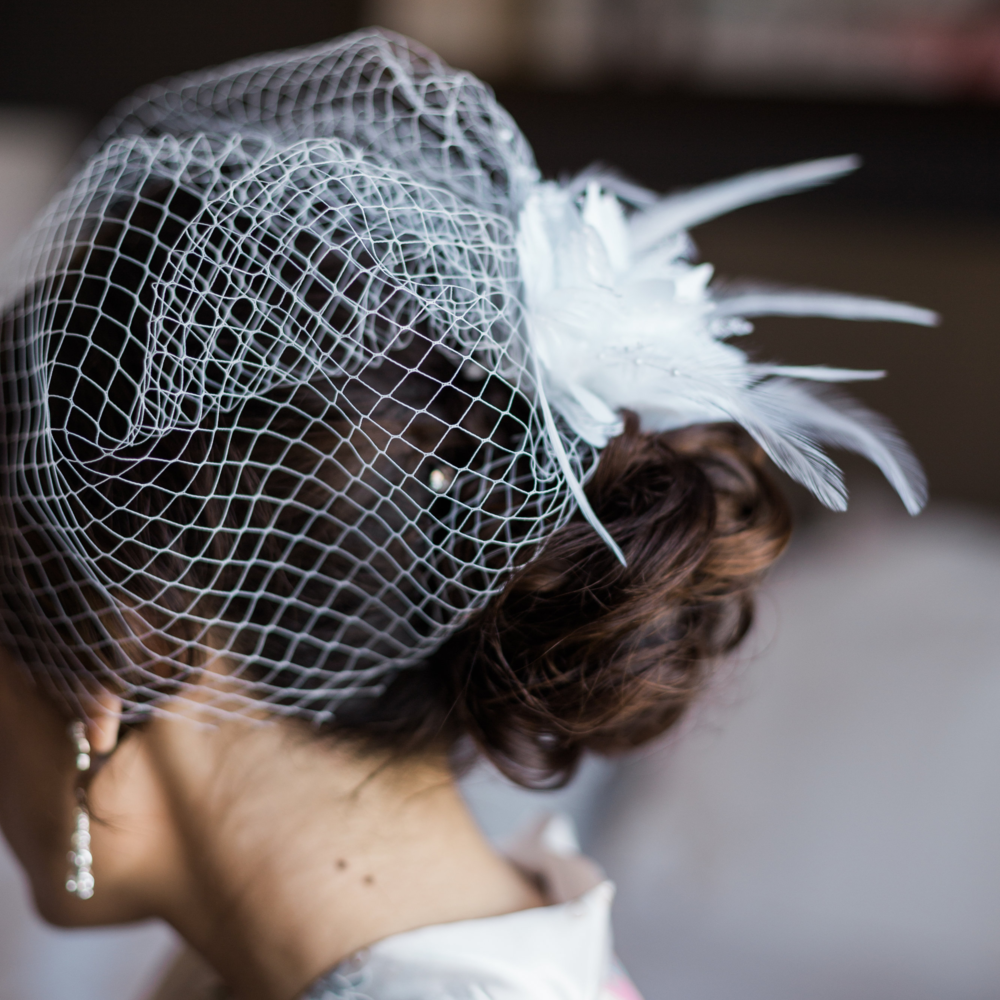 Birdcage Hair Clip