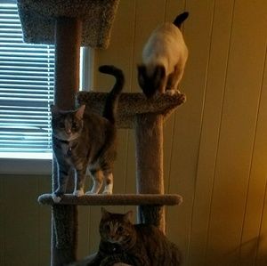 Meet your Posher, Markee