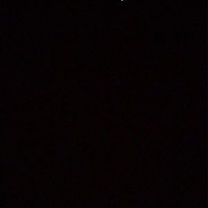 Meet your Posher, Isaiah