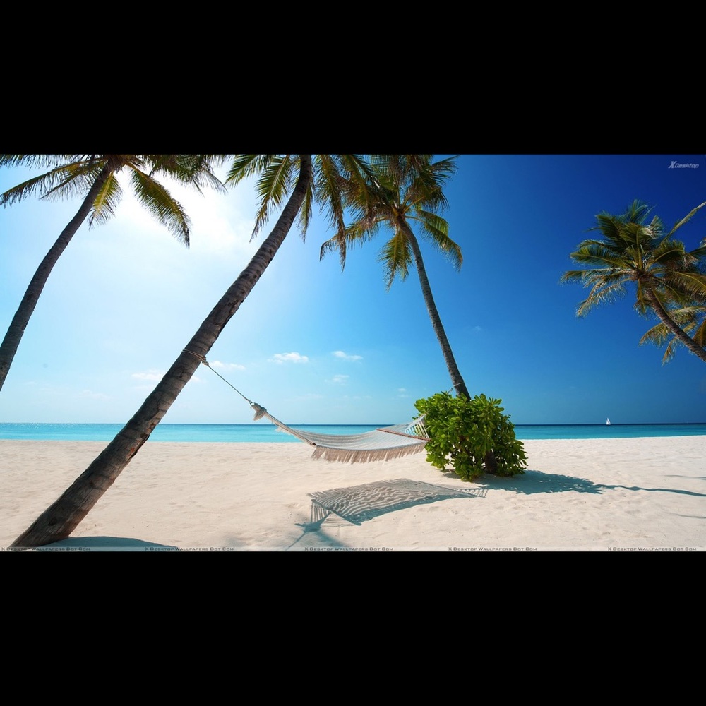 Meet your Posher, Monique