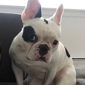 Meet your Posher, Cris