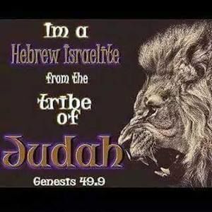 Meet your Posher, Cevin