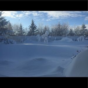 Meet your Posher, Jean