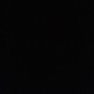 Meet your Posher, Terry