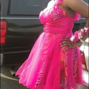 Prom Dress! Pink Mesh with Animal Print Underlay!