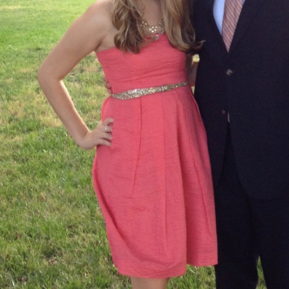 Pink J. Crew dress (gold belt NOT included)