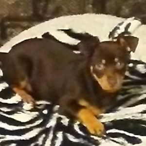 Meet your Posher, Patrick