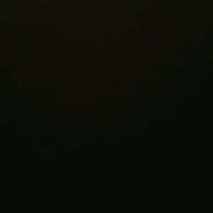 Meet your Posher, Belle