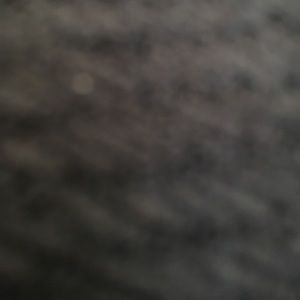 Meet your Posher, Lacey