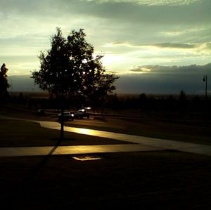 Meet your Posher, Lili