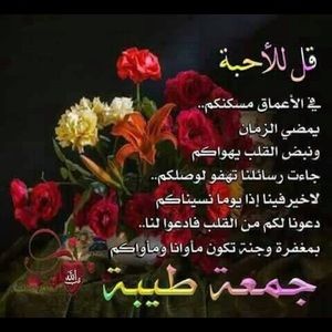 Meet your Posher, Eman