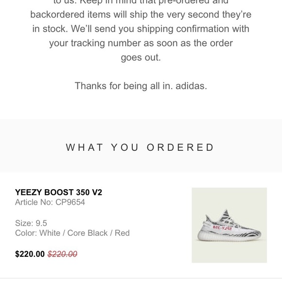 Yeezy Boost sply 350 v2 zebra