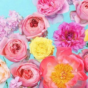 Meet your Posher, Valeria