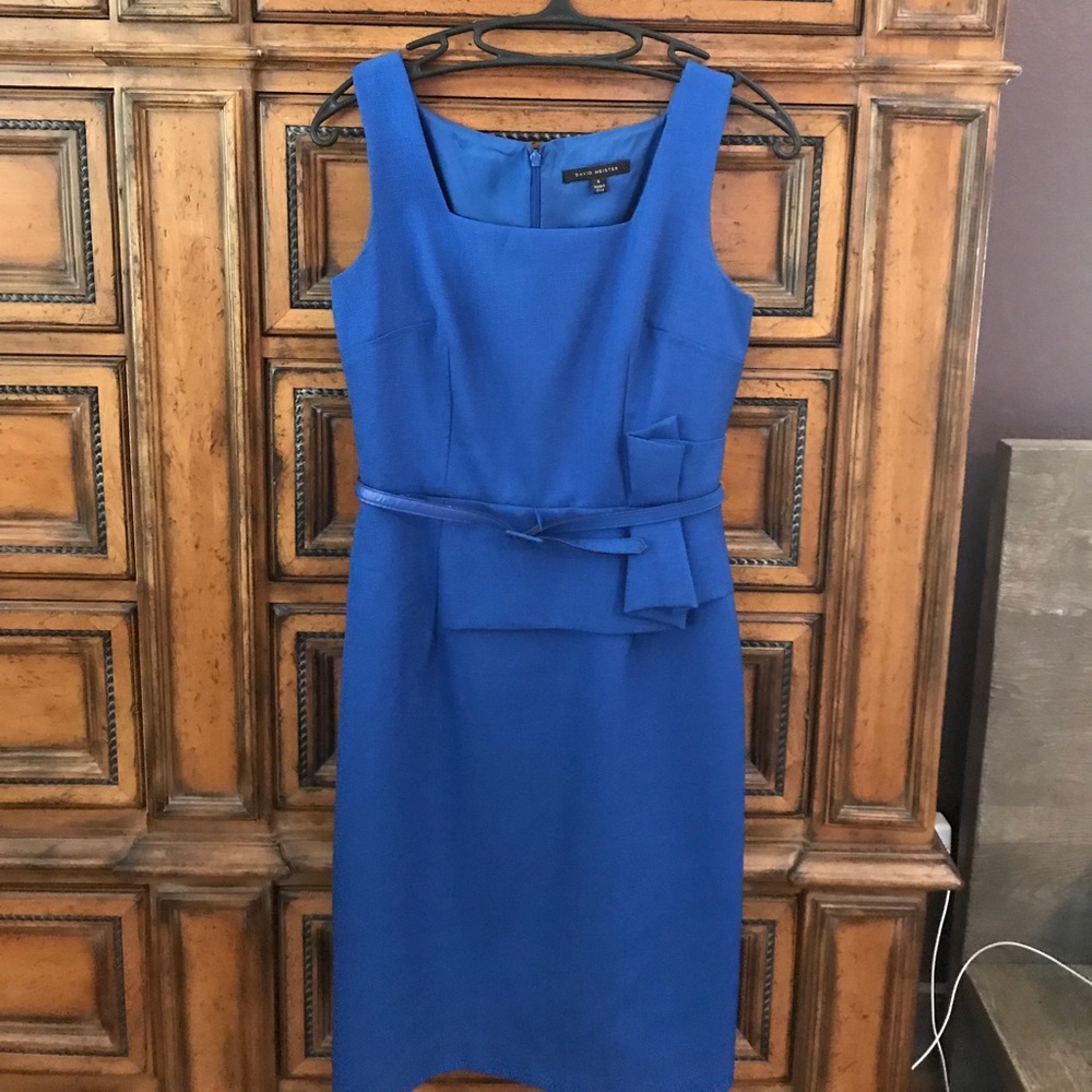 Electric Blue David Meister dress