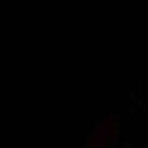 Meet your Posher, Skye