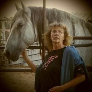 Meet your Posher, Susan