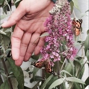 Meet your Posher, Julie