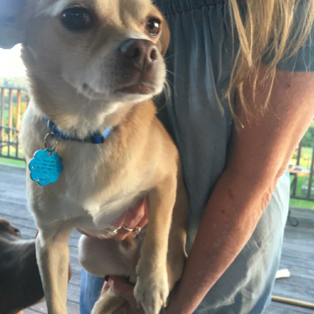 Meet your Posher, Linda