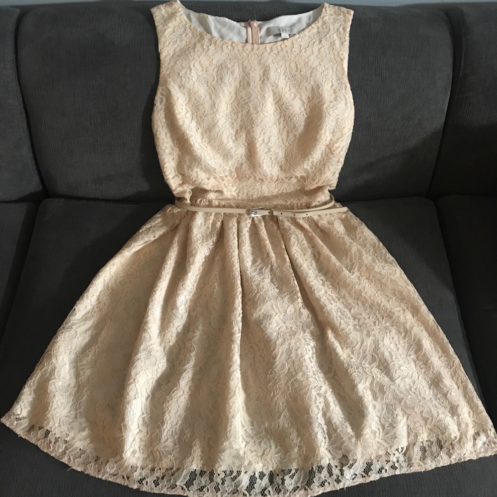 Loft lace belted dress