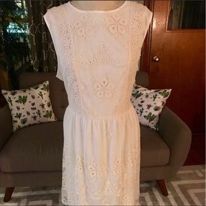 BNWT cream lace NY and Co dress