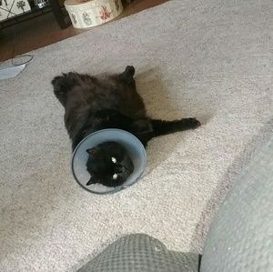 Meet your Posher, Shaun