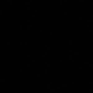 Meet your Posher, Kyra