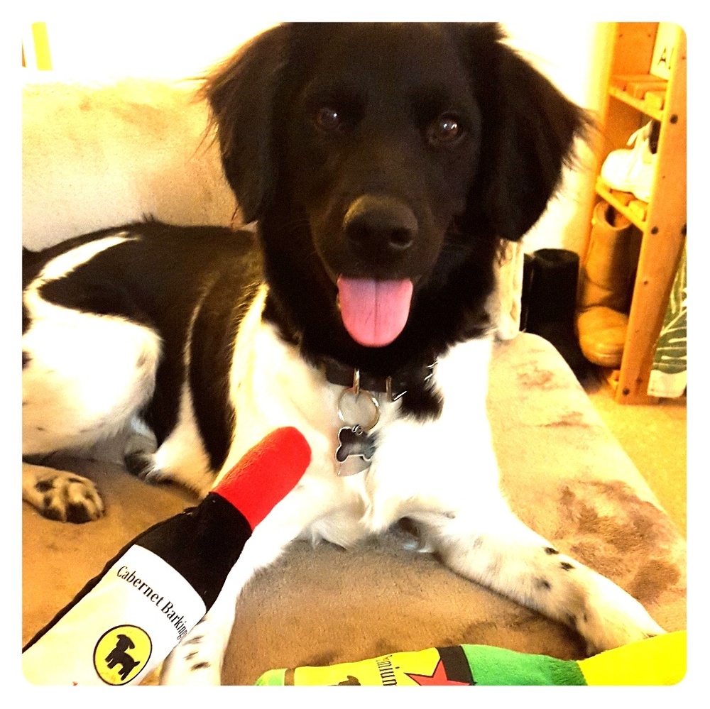 Meet your Posher, Pakeu