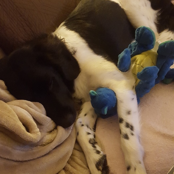 Meet your Posher, Pakeu - Picture 3 of 6