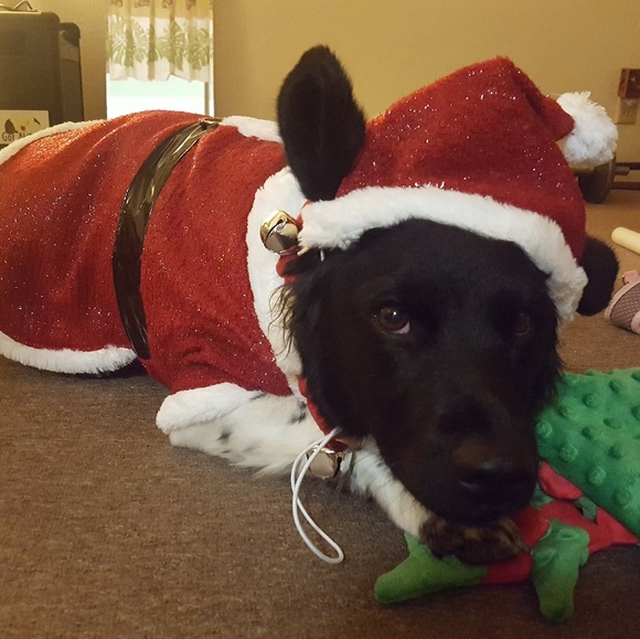 Meet your Posher, Pakeu - Picture 4 of 6