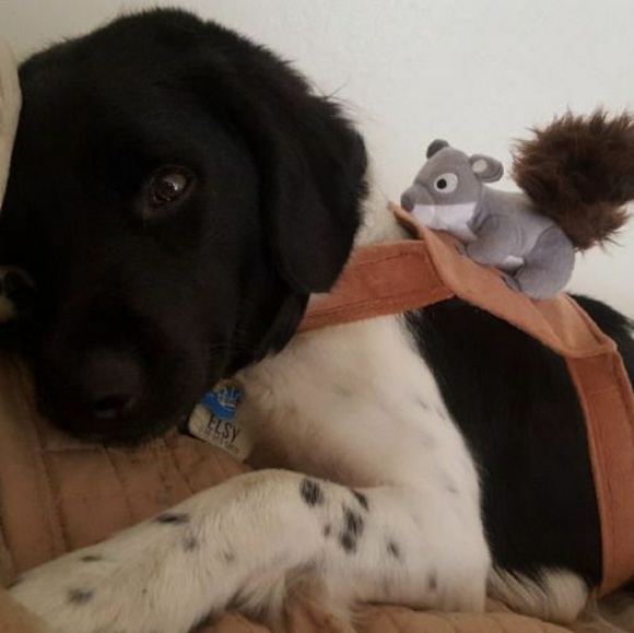 Meet your Posher, Pakeu - Picture 5 of 6