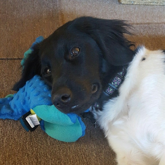 Meet your Posher, Pakeu - Picture 6 of 6