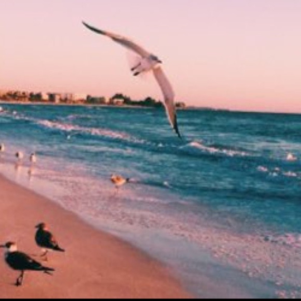 Meet your Posher, Elise