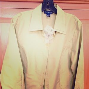 Ann Taylor button down shirt