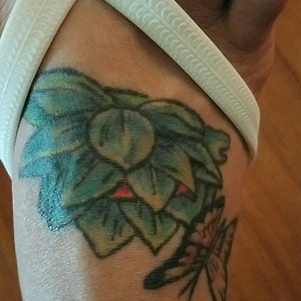 Meet your Posher, Barbara