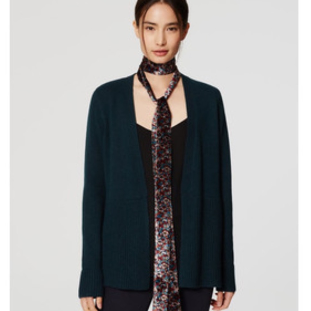 LOFT floral skinny velvet scarf