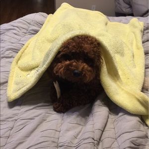 Meet your Posher, Donna