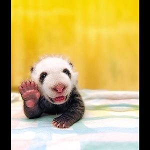 Meet your Posher, Meredith