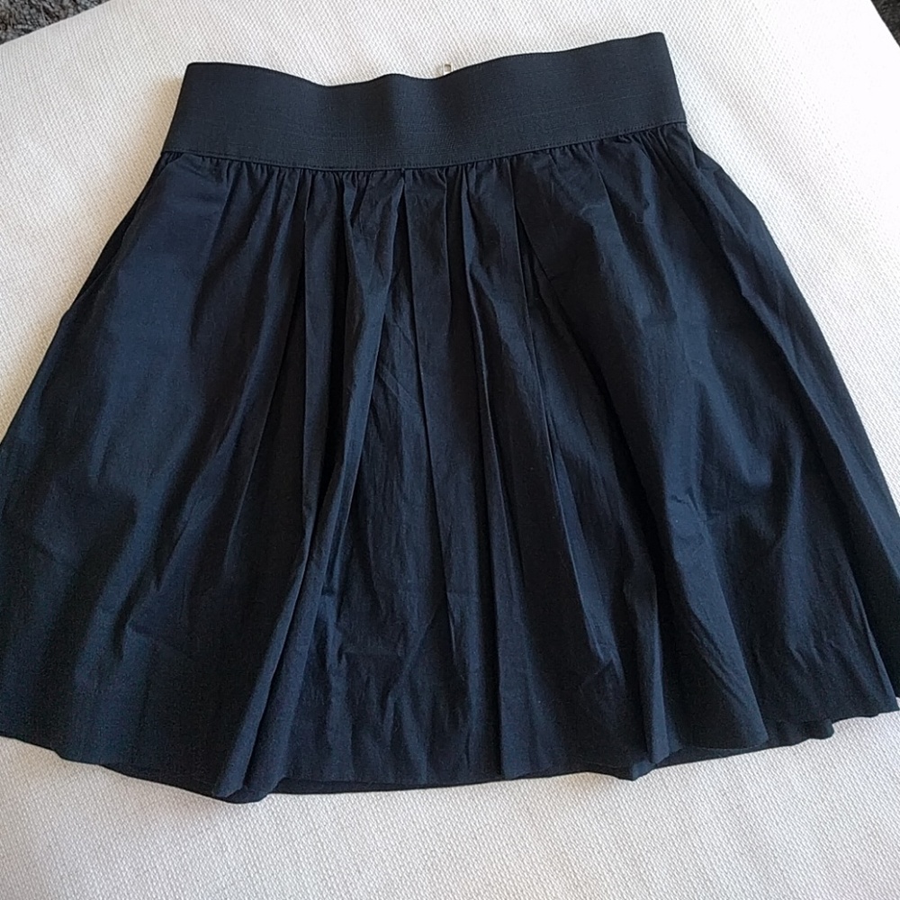 Black Fit and Flare Skirt