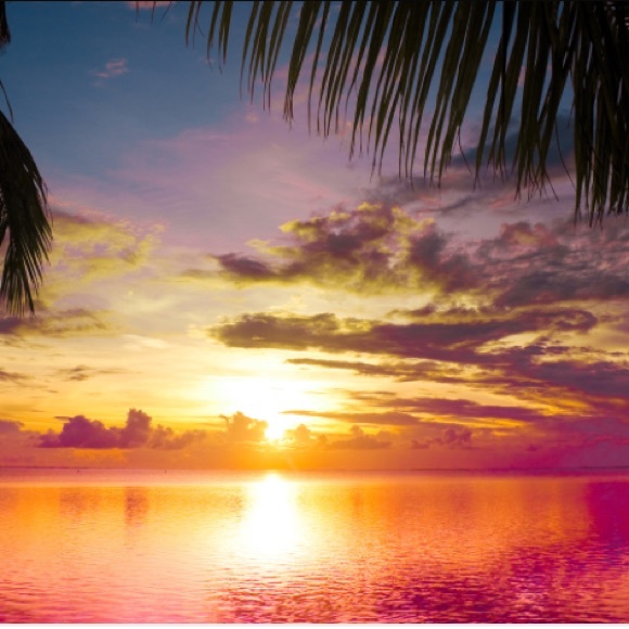 Meet your Posher, Gabe - Picture 1 of 1