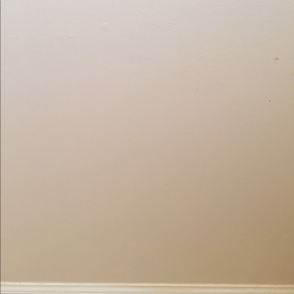 Meet your Posher, Isaiah - Picture 1 of 1