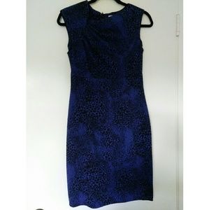 Calvin Klein Blue Animal Print Shift Dress Sz 4