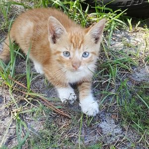 Meet your Posher, Michele