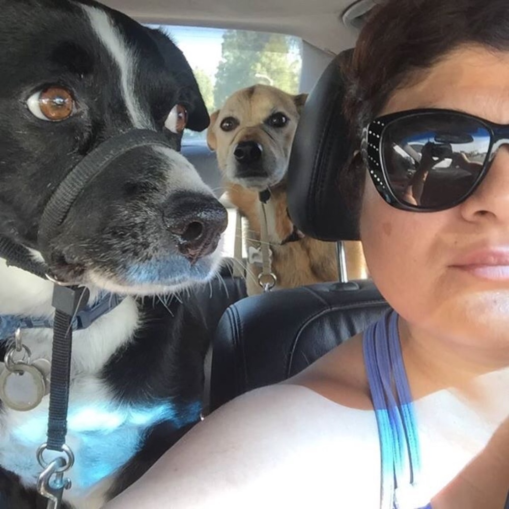 Meet your Posher, Christine