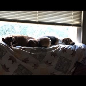 Meet your Posher, June