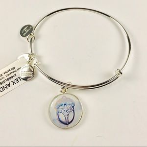 Alex&Ani Unexpected Miracle Silver