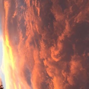 Meet your Posher, Tahlia