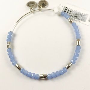 Alex&ani Beads sulver