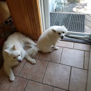 Meet your Posher, Giovanna